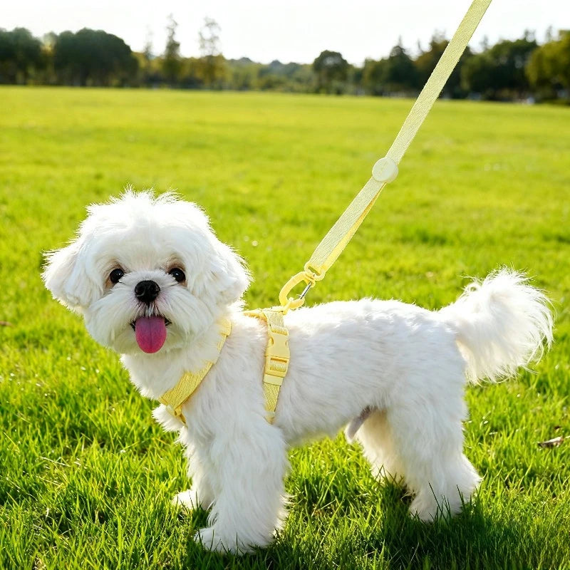 Adjustable Puppy Harness Set Reflective Dog Collar and Leash for Small Dogs Macaron Color Cat Safe Walking Gear Dog Accessories