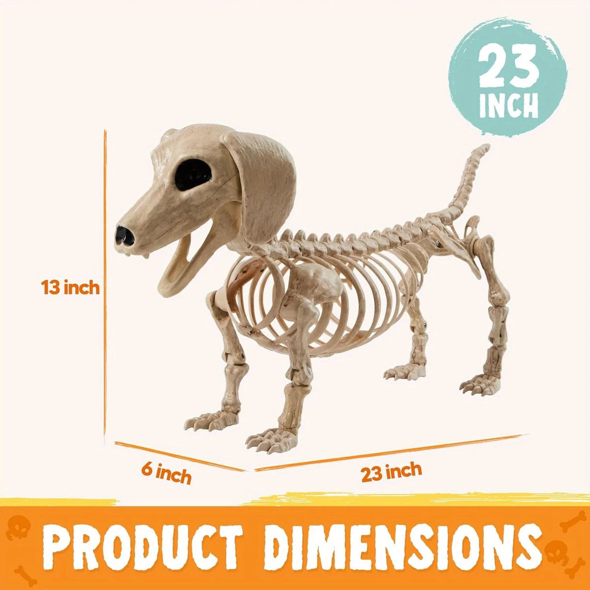 Halloween 24" Posable Wiener Dog Skeleton