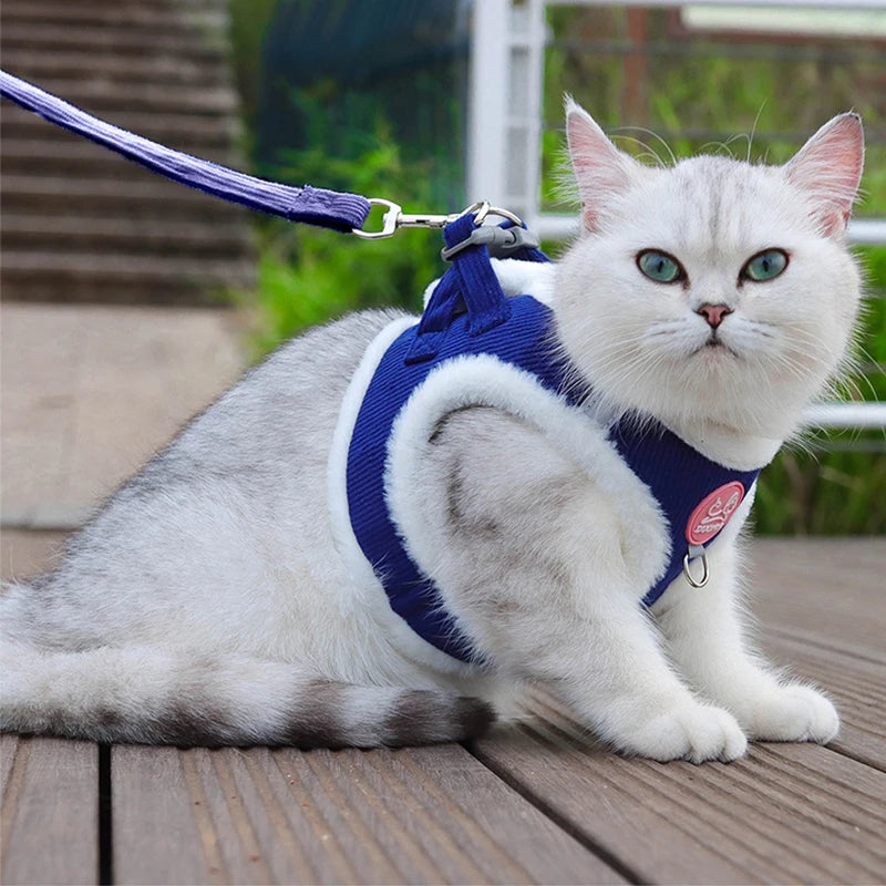 Warm Fur Pet Harness with Leash