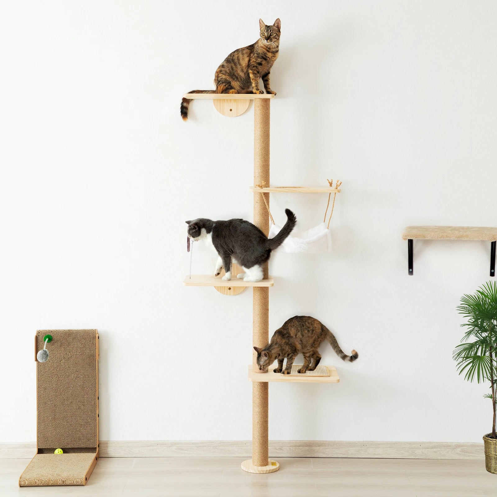 Wall-Mounted Cat Scratching Pad for Small to Large Cats