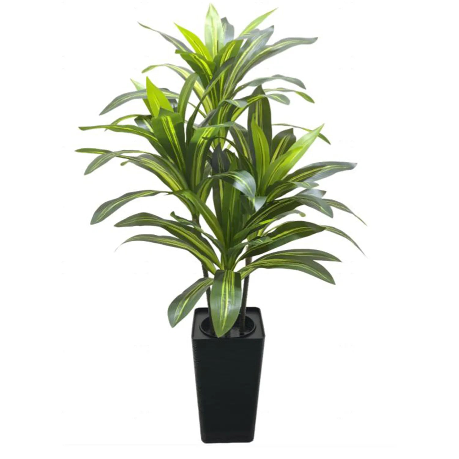 4,5, or 6 Foot Artificial Dracaena Tree