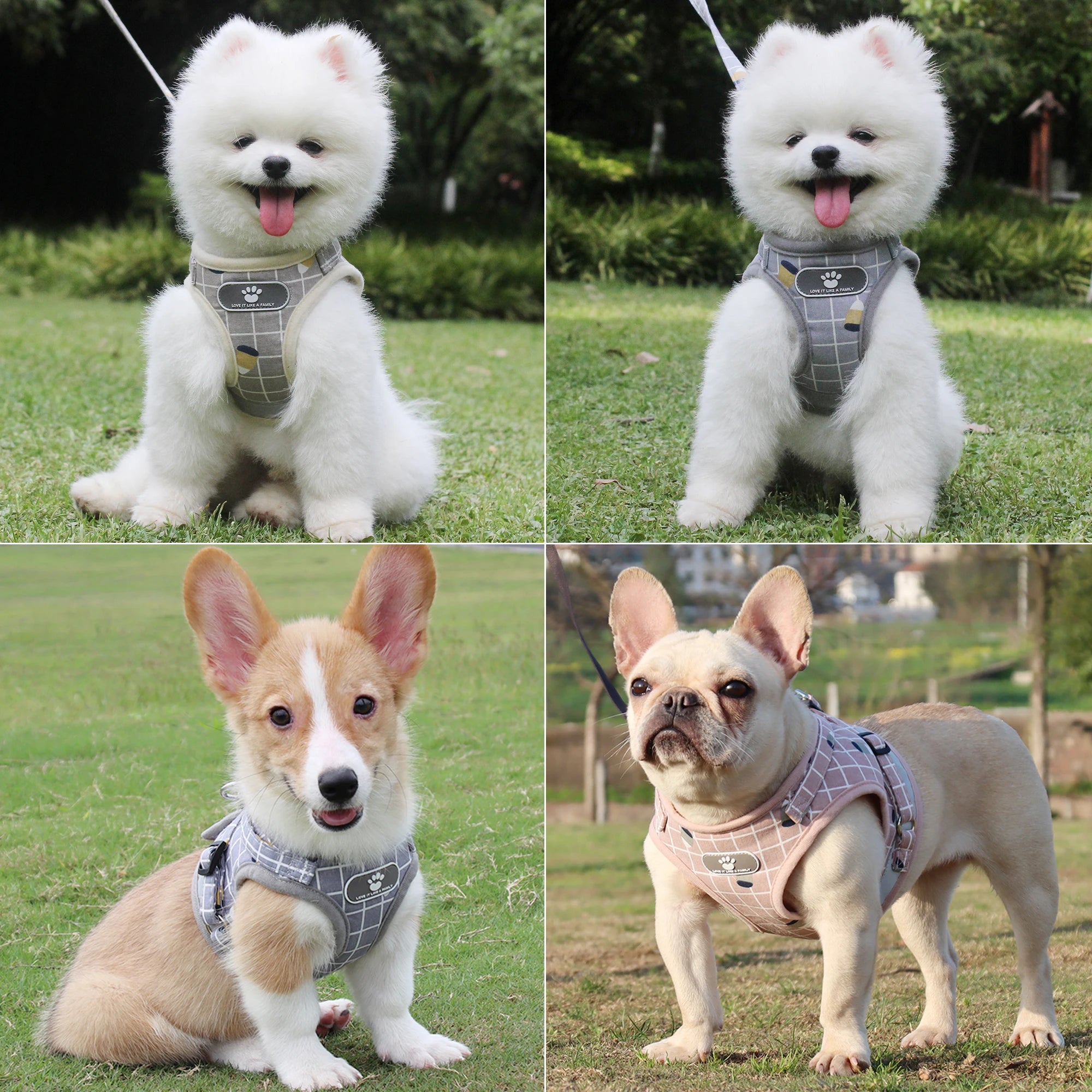 Reflective Breathable Dog or Cat Harness with Leash