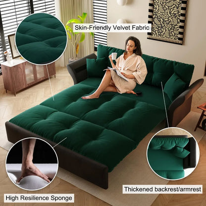 Queen Pull Out Sofa Bed