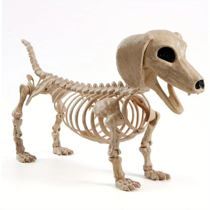 Halloween 24" Posable Wiener Dog Skeleton