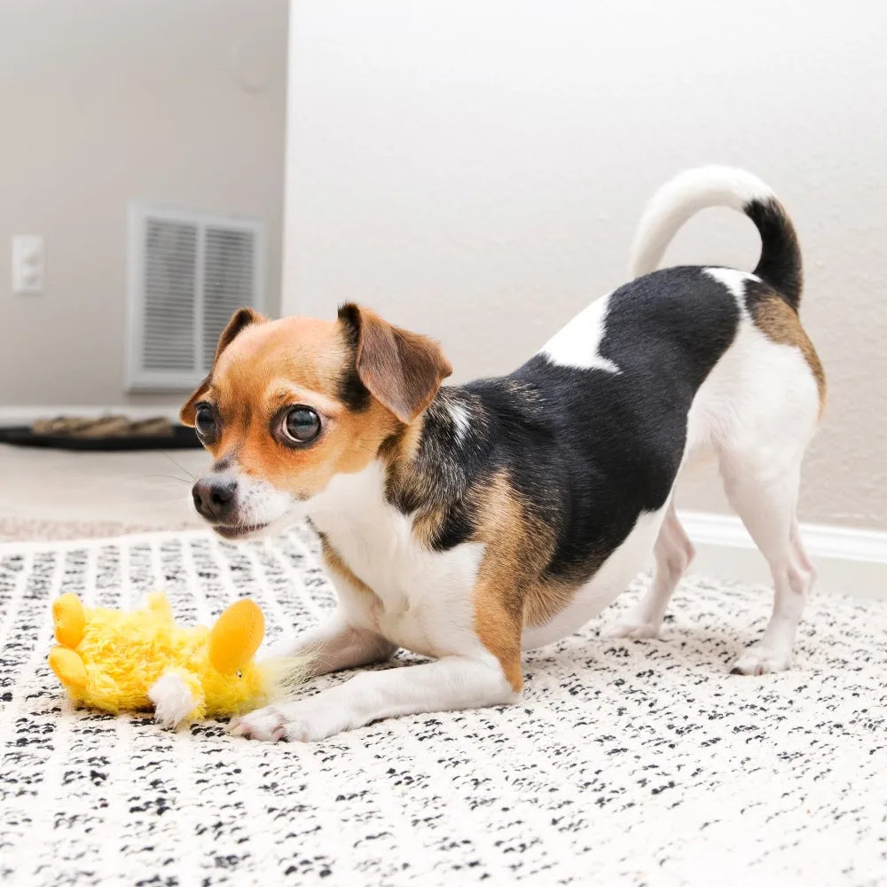 Adorable Yellow Duck Dog Toy with Removable Squeaker for Small Dogs