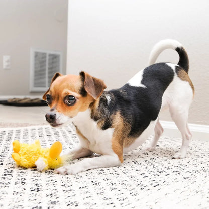 Adorable Yellow Duck Dog Toy with Removable Squeaker for Small Dogs