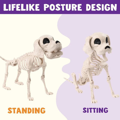 Posable Halloween Full Body Dog Skeleton
