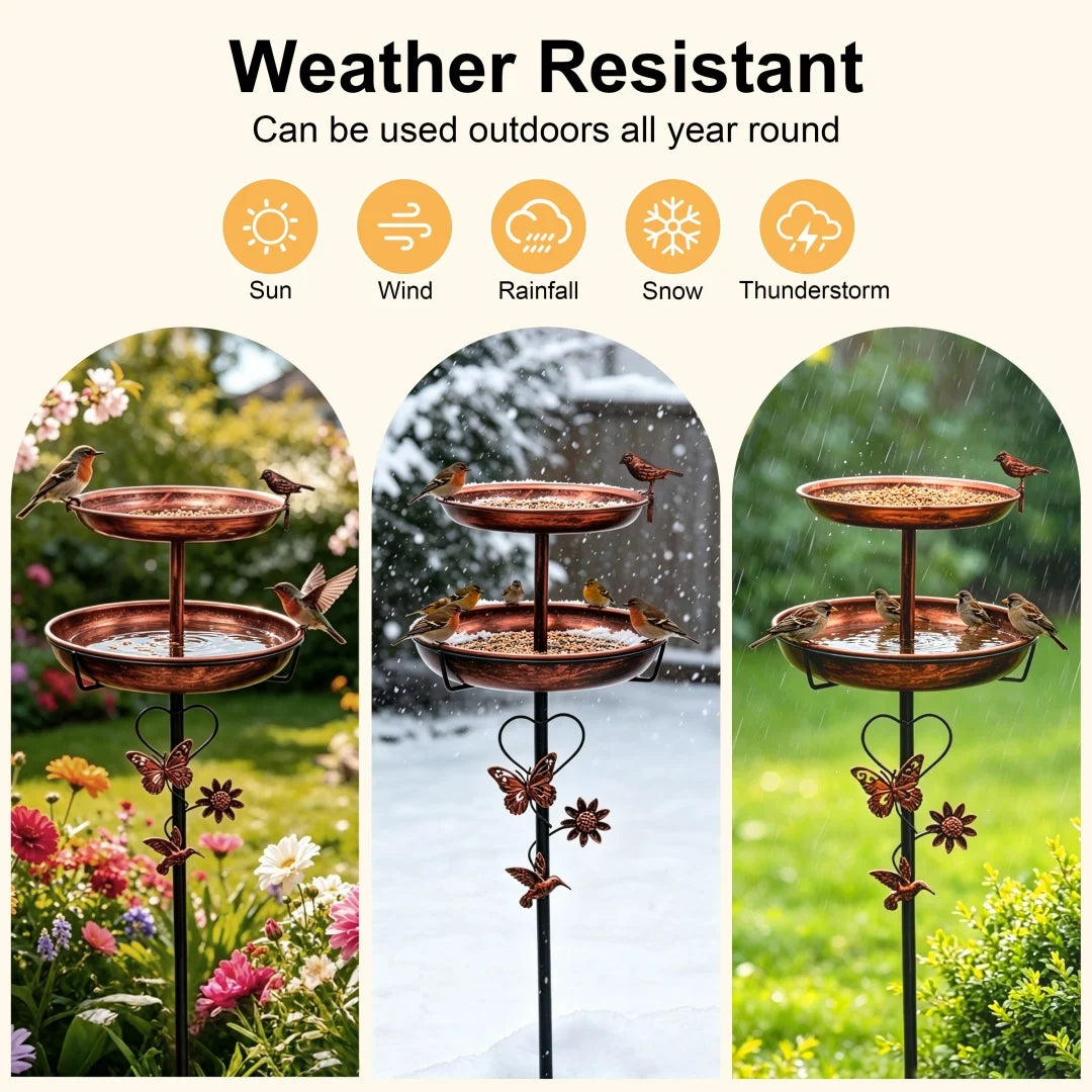 Double-Layer Bird Bath and Feeder