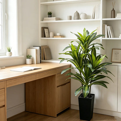 4,5, or 6 Foot Artificial Dracaena Tree
