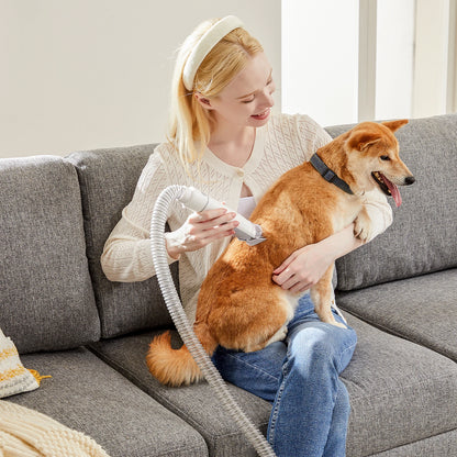 JHK 2.5L Professional Pet Grooming Vacuum Kit