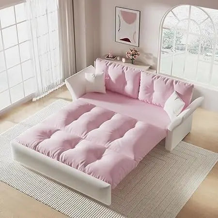 Queen Pull Out Sofa Bed