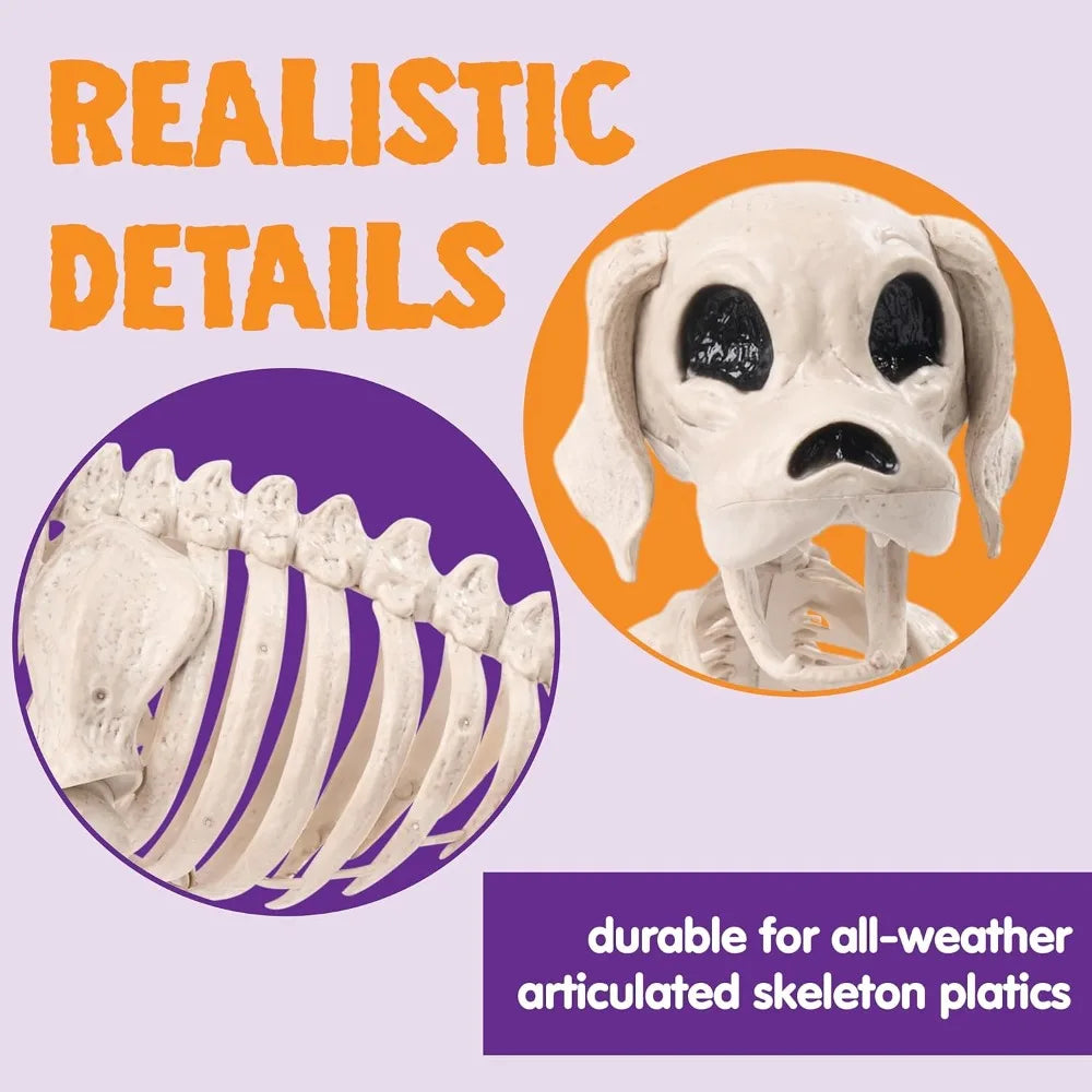 Posable Halloween Full Body Dog Skeleton