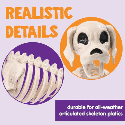 Posable Halloween Full Body Dog Skeleton
