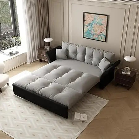 Queen Pull Out Sofa Bed