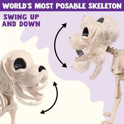Posable Halloween Full Body Dog Skeleton