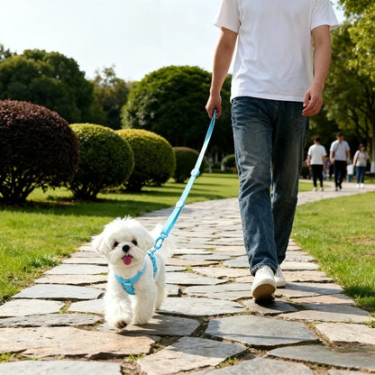 Adjustable Puppy Harness Set Reflective Dog Collar and Leash for Small Dogs Macaron Color Cat Safe Walking Gear Dog Accessories
