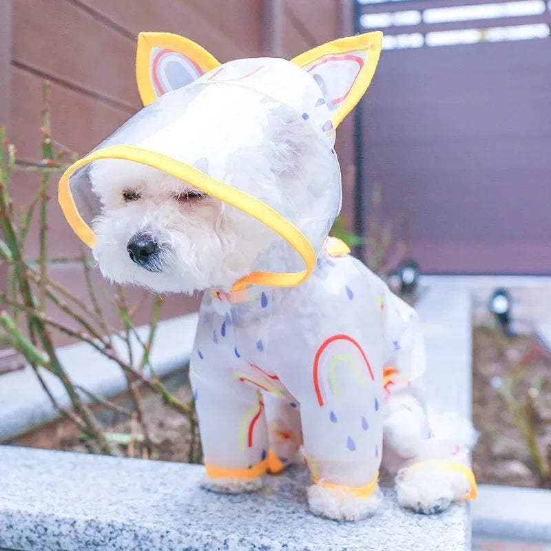 Small Dog Raincoat