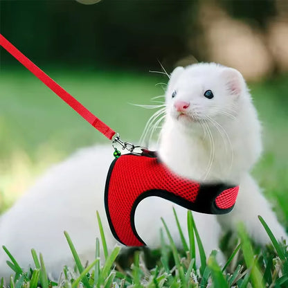 Breathable and stylish pet vest-style harness with adjustable soft strap and elastic leash set, suitable for rabbits and cats