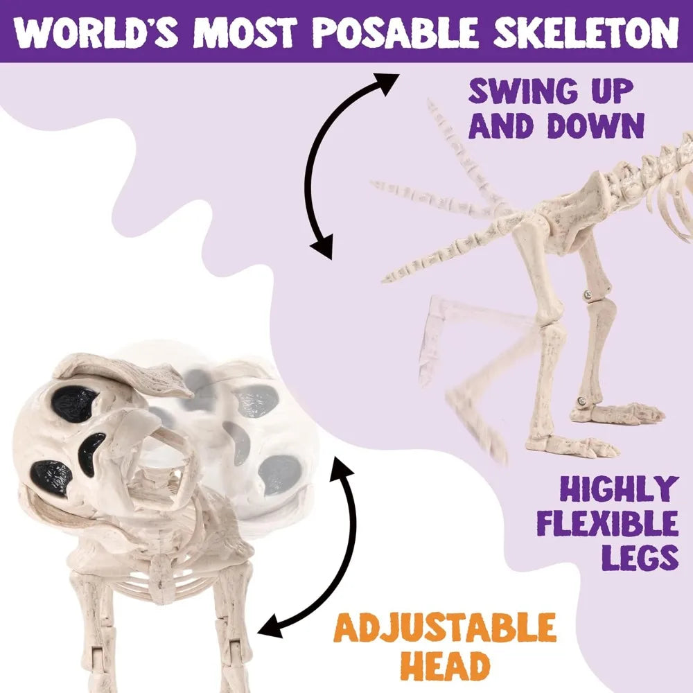 Posable Halloween Full Body Dog Skeleton