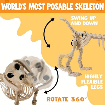 Halloween 24" Posable Wiener Dog Skeleton