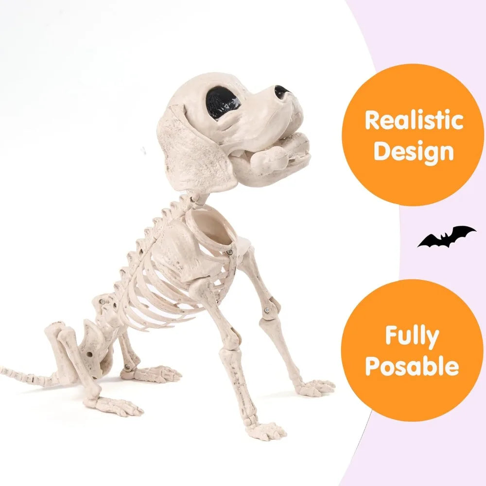 Posable Halloween Full Body Dog Skeleton