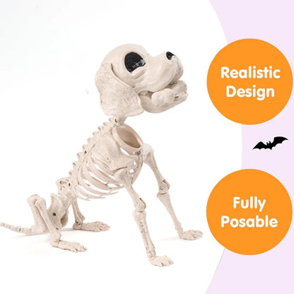 Posable Halloween Full Body Dog Skeleton