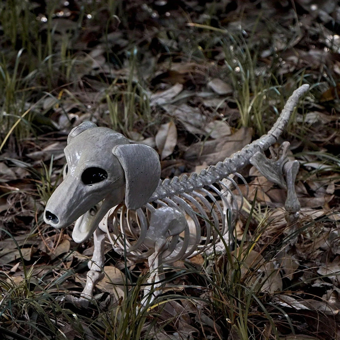 Halloween 24" Posable Wiener Dog Skeleton