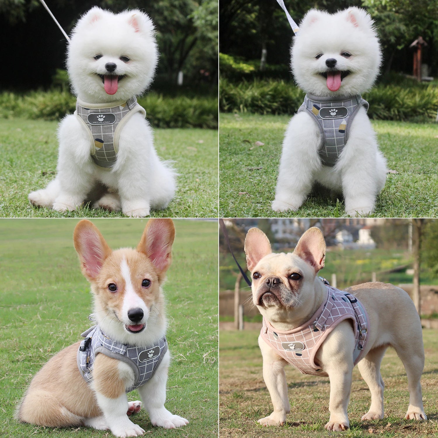 Reflective Breathable Dog or Cat Harness with Leash