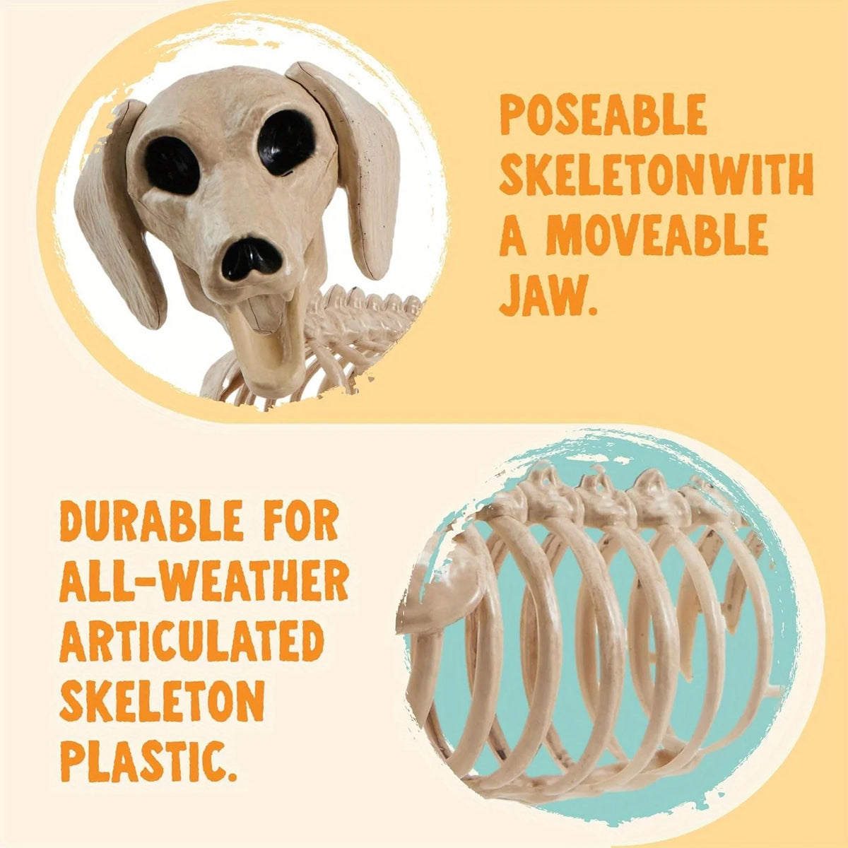 Halloween 24" Posable Wiener Dog Skeleton