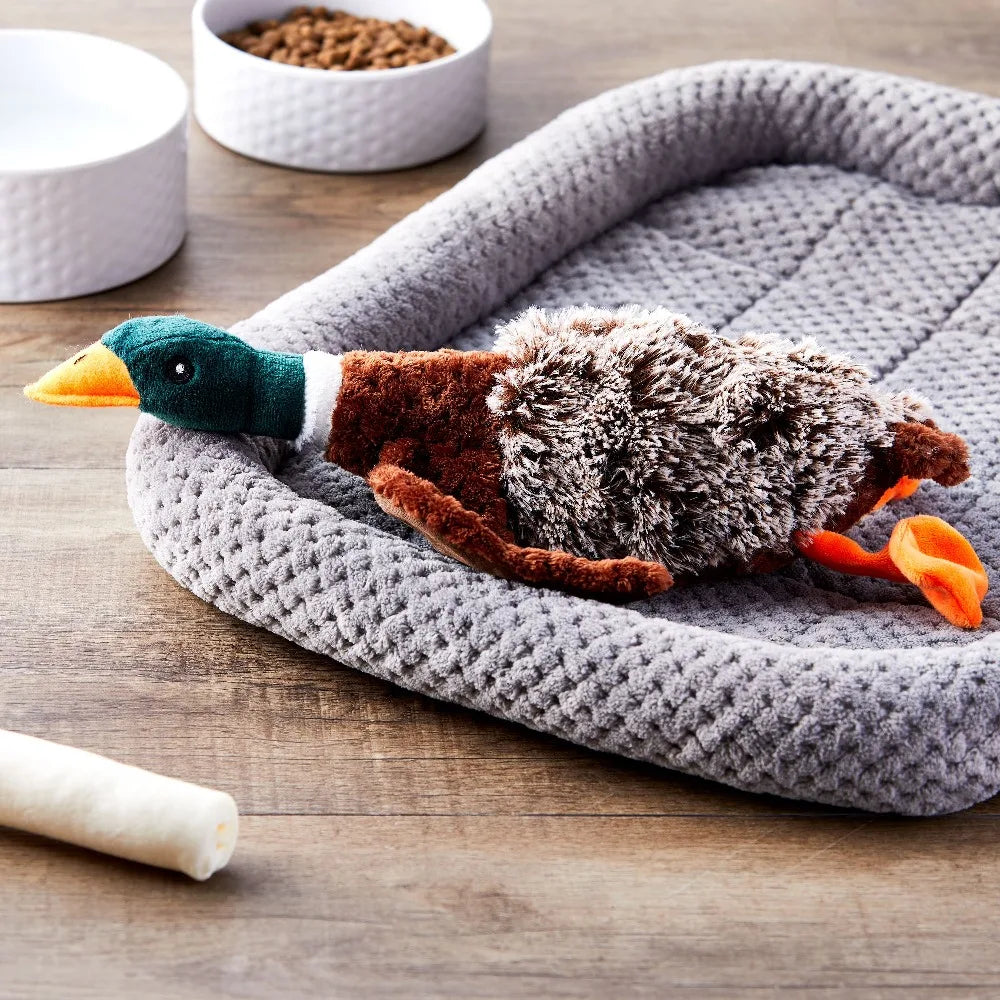 Colorful Duck Plush Dog Toy with Fun Honking Squeaker