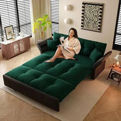 Queen Pull Out Sofa Bed